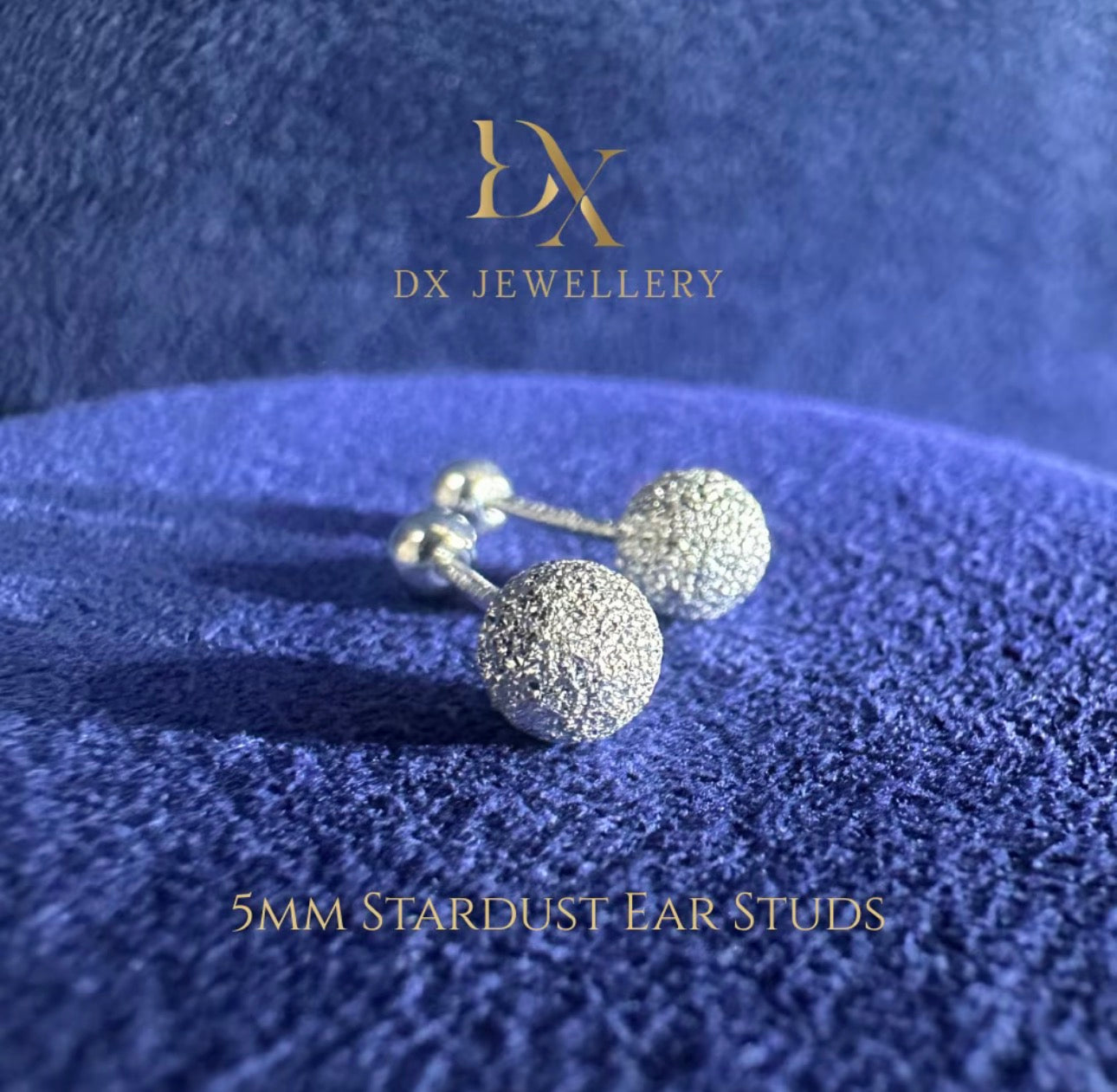 990 Silver 5mm Stardust Screw Ear Studs